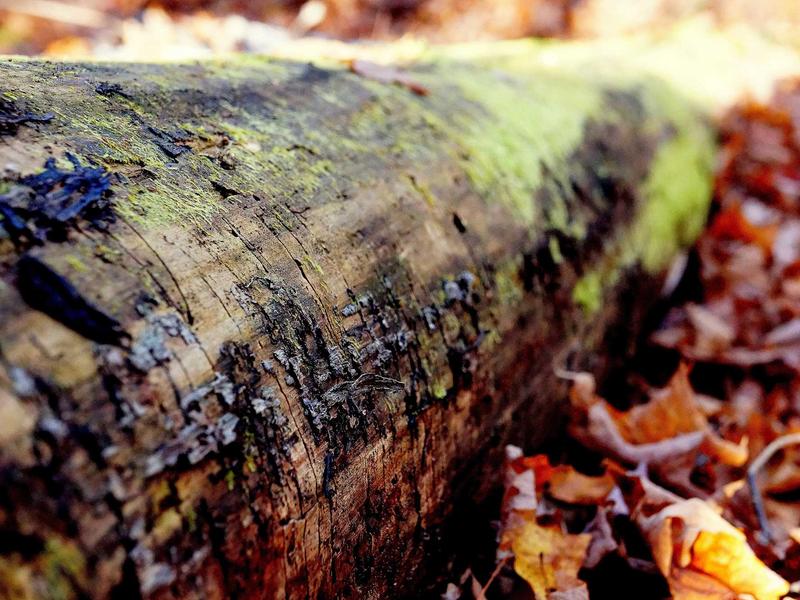 sudoku skill improvement screenshot 5